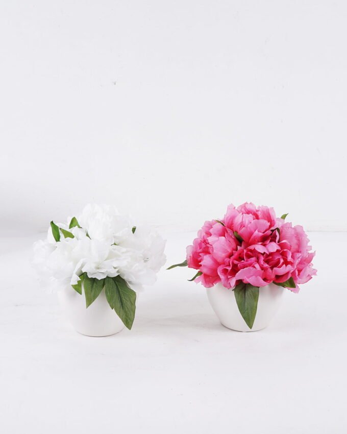 Artificial Flower 20*20*18cm Peony in Ceramic pot GS-06926003 2026Jun 3,000+ sqm showroom with thousands of artificial flowers, plants & trees ready for global sourcing.