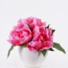 Artificial Flower 20*20*18cm Peony in Ceramic pot GS-06926003 2026Jun 3,000+ sqm showroom with thousands of artificial flowers, plants & trees ready for global sourcing.