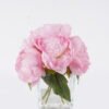 Artificial Flower Peony in Glass ware GS-06926002-R1_4 Artificial Flower 18*18*20cm Peony in Glass ware GS-06926002-R1 2026Jun 3,000+ sqm showroom with thousands of artificial flowers, plants & trees ready for global sourcing.
