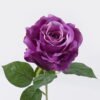 Artificial Flower Peony single stem GS-84526005-Z1_2 Artificial Flower 13*9*52cm Peony single stem GS-84526005-Z1 2026SEP 3,000+ sqm showroom with thousands of artificial flowers, plants & trees ready for global sourcing.