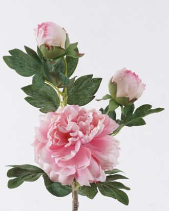 Artificial Flower 20*17*70cm Peony * single stem /moist real touch GS-79826005-P4 2026SEP 3,000+ sqm showroom with thousands of artificial flowers, plants & trees ready for global sourcing. Artificial Flower 20*17*70cm Peony * single stem /moist real touch GS-79826005-P4 2026SEP 3,000+ sqm showroom with thousands of artificial flowers, plants & trees ready for global sourcing.