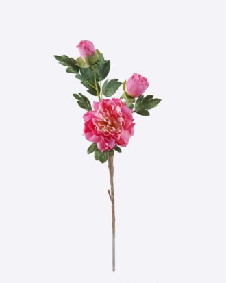 Artificial Flower 20*17*70cm Peony * single stem /moist real touch GS-79826005-P6 2026SEP 3,000+ sqm showroom with thousands of artificial flowers, plants & trees ready for global sourcing. Artificial Flower 20*17*70cm Peony * single stem /moist real touch GS-79826005-P6 2026SEP 3,000+ sqm showroom with thousands of artificial flowers, plants & trees ready for global sourcing.