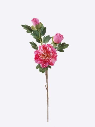 Artificial Flower 20*17*70cm Peony * single stem /moist real touch GS-79826005-P4 2026SEP 3,000+ sqm showroom with thousands of artificial flowers, plants & trees ready for global sourcing.