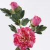 Artificial Flower 20*17*70cm Peony * single stem /moist real touch GS-79826005-P6 2026SEP 3,000+ sqm showroom with thousands of artificial flowers, plants & trees ready for global sourcing.