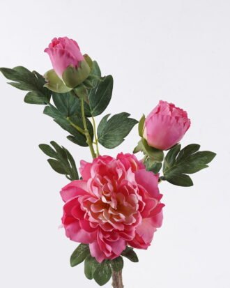 Artificial Flower 20*17*70cm Peony * single stem /moist real touch GS-79826005-P6 2026SEP 3,000+ sqm showroom with thousands of artificial flowers, plants & trees ready for global sourcing. Artificial Flower 20*17*70cm Peony * single stem /moist real touch GS-79826005-P6 2026SEP 3,000+ sqm showroom with thousands of artificial flowers, plants & trees ready for global sourcing.