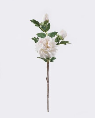 Artificial Flower 20*17*70cm Peony * single stem /moist real touch GS-79826005-W2 2026SEP 3,000+ sqm showroom with thousands of artificial flowers, plants & trees ready for global sourcing. Artificial Flower 20*17*70cm Peony * single stem /moist real touch GS-79826005-W2 2026SEP 3,000+ sqm showroom with thousands of artificial flowers, plants & trees ready for global sourcing.