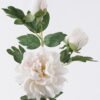 Artificial Flower 20*17*70cm Peony * single stem /moist real touch GS-79826005 2026SEP 3,000+ sqm showroom with thousands of artificial flowers, plants & trees ready for global sourcing.