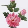 Artificial Flower 20*17*70cm Peony * single stem /moist real touch GS-79826005 2026SEP 3,000+ sqm showroom with thousands of artificial flowers, plants & trees ready for global sourcing.