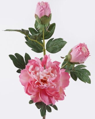 Artificial Flower 20*17*70cm Peony * single stem /moist real touch GS-79826005 2026SEP 3,000+ sqm showroom with thousands of artificial flowers, plants & trees ready for global sourcing. Artificial Flower 20*17*70cm Peony * single stem /moist real touch GS-79826005 2026SEP 3,000+ sqm showroom with thousands of artificial flowers, plants & trees ready for global sourcing.