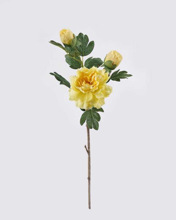 Artificial Flower 20*17*70cm Peony * single stem /moist real touch GS-79826005 2026SEP 3,000+ sqm showroom with thousands of artificial flowers, plants & trees ready for global sourcing.