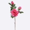 Artificial Flower 20*17*70cm Peony * single stem /moist real touch GS-79826005 2026SEP 3,000+ sqm showroom with thousands of artificial flowers, plants & trees ready for global sourcing.
