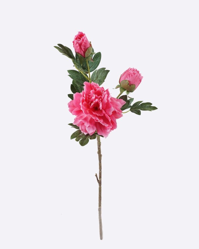Artificial Flower 20*17*70cm Peony * single stem /moist real touch GS-79826005 2026SEP 3,000+ sqm showroom with thousands of artificial flowers, plants & trees ready for global sourcing.