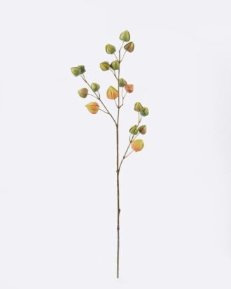 Artificial Flower 12*6*67cm  Peruvian groundcherry single stem GS-39126010-G1 2026Jul 3,000+ sqm showroom with thousands of artificial flowers, plants & trees ready for global sourcing.