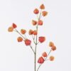 Artificial Flower 12*6*67cm  Peruvian groundcherry single stem GS-39126010-O1 2026Jul 3,000+ sqm showroom with thousands of artificial flowers, plants & trees ready for global sourcing.
