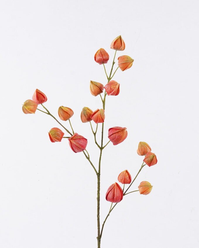 Artificial Flower 12*6*67cm  Peruvian groundcherry single stem GS-39126010-O1 2026Jul 3,000+ sqm showroom with thousands of artificial flowers, plants & trees ready for global sourcing.
