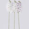 Artificial Flower Phalaenopsis 10 single stem real touch GS-68626001 Artificial Flower 20*10*108cm Phalaenopsis *10 single stem/real touch GS-68626001 2026Aug 3,000+ sqm showroom with thousands of artificial flowers, plants & trees ready for global sourcing.