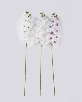 Artificial Flower 20*10*108cm Phalaenopsis *10 single stem/real touch GS-68626001 2026Aug 3,000+ sqm showroom with thousands of artificial flowers, plants & trees ready for global sourcing. Artificial Flower 20*10*108cm Phalaenopsis *10 single stem/real touch GS-68626001 2026Aug 3,000+ sqm showroom with thousands of artificial flowers, plants & trees ready for global sourcing.