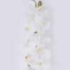 Artificial Flower Phalaenopsis 10 single stem real touch GS-68626001_2 Artificial Flower 20*10*108cm Phalaenopsis *10 single stem/real touch GS-68626001 2026Aug 3,000+ sqm showroom with thousands of artificial flowers, plants & trees ready for global sourcing.