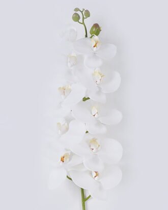 Artificial Flower 20*10*108cm Phalaenopsis *10 single stem/real touch GS-68626001 2026Aug 3,000+ sqm showroom with thousands of artificial flowers, plants & trees ready for global sourcing. Artificial Flower 20*10*108cm Phalaenopsis *10 single stem/real touch GS-68626001 2026Aug 3,000+ sqm showroom with thousands of artificial flowers, plants & trees ready for global sourcing.