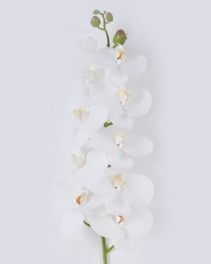 Artificial Flower Phalaenopsis 10 single stem real touch GS-68626001_2 Artificial Flower 20*10*108cm Phalaenopsis *10 single stem/real touch GS-68626001 2026Aug 3,000+ sqm showroom with thousands of artificial flowers, plants & trees ready for global sourcing.