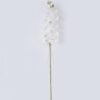 Artificial Flower Phalaenopsis 10 single stem real touch GS-68626001_3 Artificial Flower 20*10*108cm Phalaenopsis *10 single stem/real touch GS-68626001 2026Aug 3,000+ sqm showroom with thousands of artificial flowers, plants & trees ready for global sourcing.