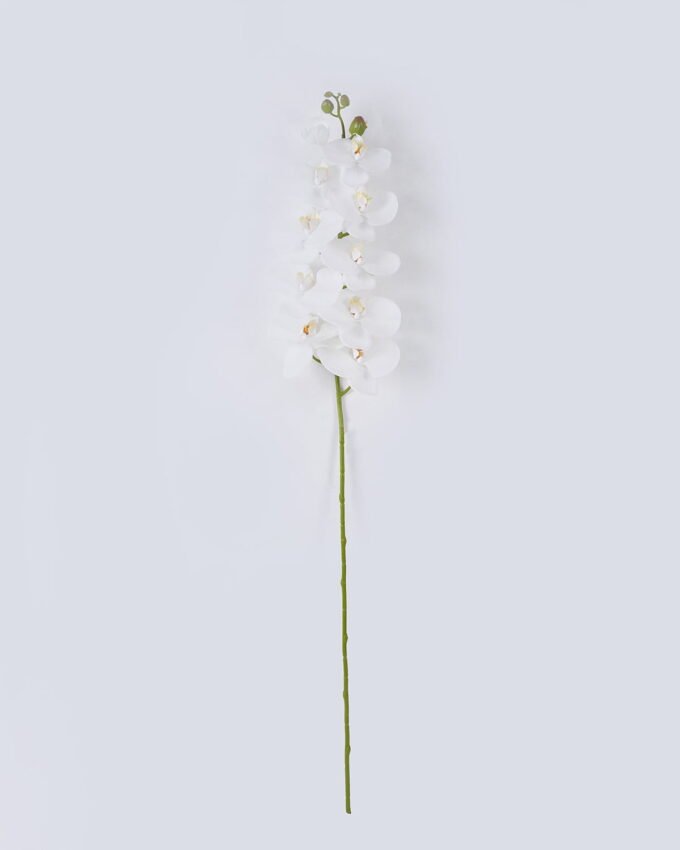 Artificial Flower Phalaenopsis 10 single stem real touch GS-68626001_3 Artificial Flower 20*10*108cm Phalaenopsis *10 single stem/real touch GS-68626001 2026Aug 3,000+ sqm showroom with thousands of artificial flowers, plants & trees ready for global sourcing.