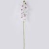 Artificial Flower Phalaenopsis 10 single stem real touch GS-68626001_4 Artificial Flower 20*10*108cm Phalaenopsis *10 single stem/real touch GS-68626001 2026Aug 3,000+ sqm showroom with thousands of artificial flowers, plants & trees ready for global sourcing.