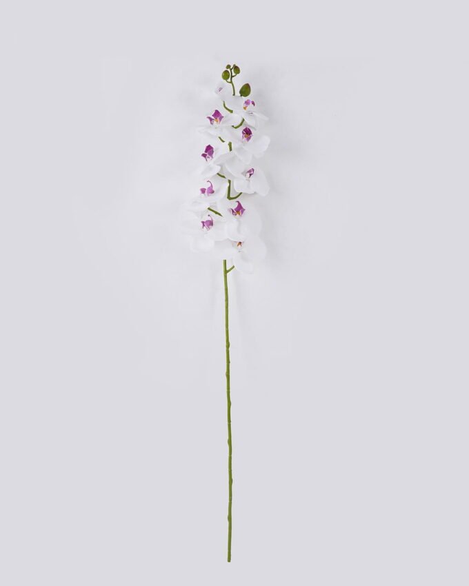 Artificial Flower Phalaenopsis 10 single stem real touch GS-68626001_4 Artificial Flower 20*10*108cm Phalaenopsis *10 single stem/real touch GS-68626001 2026Aug 3,000+ sqm showroom with thousands of artificial flowers, plants & trees ready for global sourcing.