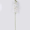 Artificial Flower Phalaenopsis 10 single stem real touch GS-68626001_5 Artificial Flower 20*10*108cm Phalaenopsis *10 single stem/real touch GS-68626001 2026Aug 3,000+ sqm showroom with thousands of artificial flowers, plants & trees ready for global sourcing.
