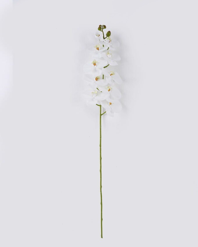 Artificial Flower Phalaenopsis 10 single stem real touch GS-68626001_5 Artificial Flower 20*10*108cm Phalaenopsis *10 single stem/real touch GS-68626001 2026Aug 3,000+ sqm showroom with thousands of artificial flowers, plants & trees ready for global sourcing.
