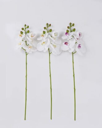 Artificial Flower 12*6*50cm Phalaenopsis *5 single stem/real touch GS-68626004 2026Aug 3,000+ sqm showroom with thousands of artificial flowers, plants & trees ready for global sourcing. Artificial Flower 12*6*50cm Phalaenopsis *5 single stem/real touch GS-68626004 2026Aug 3,000+ sqm showroom with thousands of artificial flowers, plants & trees ready for global sourcing.