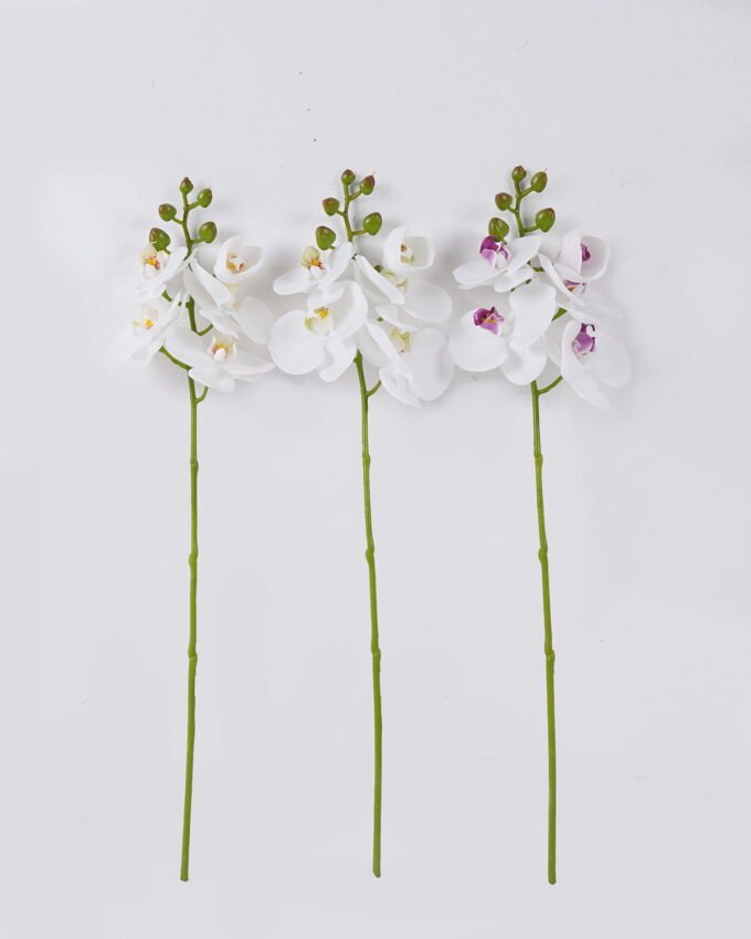 Artificial Flower 12*6*50cm Phalaenopsis *5 single stem/real touch GS-68626004 2026Aug 3,000+ sqm showroom with thousands of artificial flowers, plants & trees ready for global sourcing.