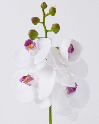 Artificial Flower 12*6*50cm Phalaenopsis *5 single stem/real touch GS-68626004 2026Aug 3,000+ sqm showroom with thousands of artificial flowers, plants & trees ready for global sourcing. Artificial Flower 12*6*50cm Phalaenopsis *5 single stem/real touch GS-68626004 2026Aug 3,000+ sqm showroom with thousands of artificial flowers, plants & trees ready for global sourcing.