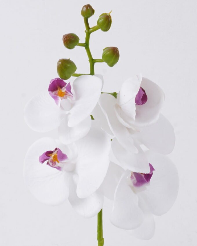 Artificial Flower 12*6*50cm Phalaenopsis *5 single stem/real touch GS-68626004 2026Aug 3,000+ sqm showroom with thousands of artificial flowers, plants & trees ready for global sourcing.