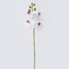 Artificial Flower Phalaenopsis 5 single stem real touch GS-68626004_3 Artificial Flower 12*6*50cm Phalaenopsis *5 single stem/real touch GS-68626004 2026Aug 3,000+ sqm showroom with thousands of artificial flowers, plants & trees ready for global sourcing.