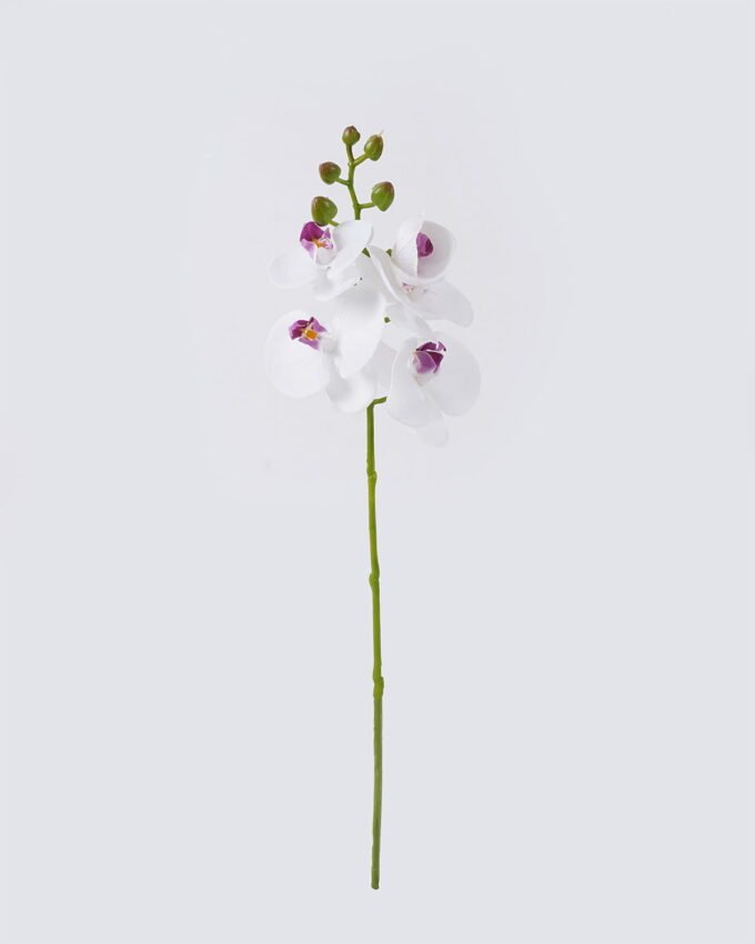 Artificial Flower Phalaenopsis 5 single stem real touch GS-68626004_3 Artificial Flower 12*6*50cm Phalaenopsis *5 single stem/real touch GS-68626004 2026Aug 3,000+ sqm showroom with thousands of artificial flowers, plants & trees ready for global sourcing.