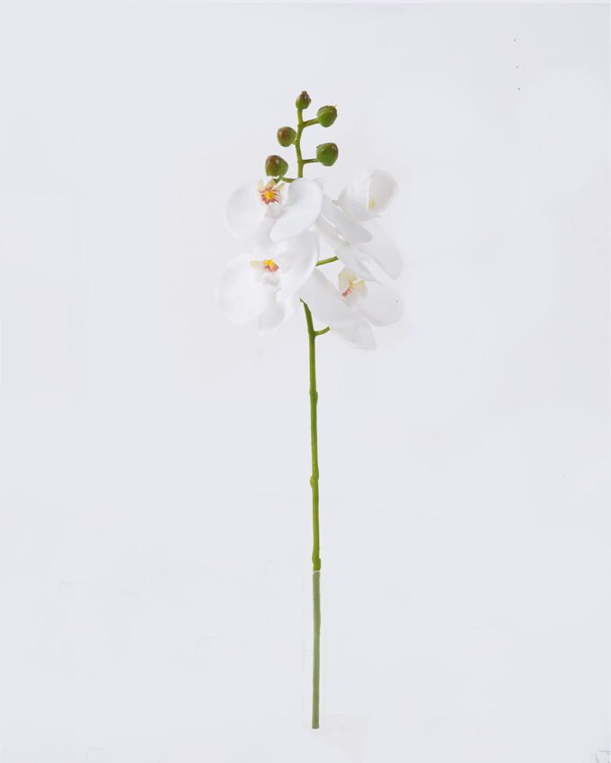Artificial Flower Phalaenopsis 5 single stem real touch GS-68626004_4 Artificial Flower 12*6*50cm Phalaenopsis *5 single stem/real touch GS-68626004 2026Aug 3,000+ sqm showroom with thousands of artificial flowers, plants & trees ready for global sourcing.