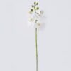Artificial Flower Phalaenopsis 5 single stem real touch GS-68626004_5 Artificial Flower 12*6*50cm Phalaenopsis *5 single stem/real touch GS-68626004 2026Aug 3,000+ sqm showroom with thousands of artificial flowers, plants & trees ready for global sourcing.