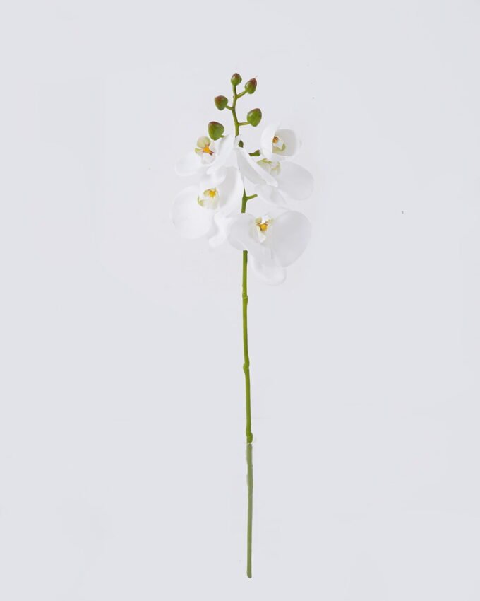 Artificial Flower Phalaenopsis 5 single stem real touch GS-68626004_5 Artificial Flower 12*6*50cm Phalaenopsis *5 single stem/real touch GS-68626004 2026Aug 3,000+ sqm showroom with thousands of artificial flowers, plants & trees ready for global sourcing.