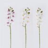 Artificial Flower Phalaenopsis 7 single stem real touch GS-68626003_1 Artificial Flower 12*6*55cm Phalaenopsis *7 single stem/real touch GS-68626003 2026Aug 3,000+ sqm showroom with thousands of artificial flowers, plants & trees ready for global sourcing.