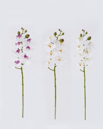 Artificial Flower 12*6*55cm Phalaenopsis *7 single stem/real touch GS-68626003 2026Aug 3,000+ sqm showroom with thousands of artificial flowers, plants & trees ready for global sourcing. Artificial Flower 12*6*55cm Phalaenopsis *7 single stem/real touch GS-68626003 2026Aug 3,000+ sqm showroom with thousands of artificial flowers, plants & trees ready for global sourcing.