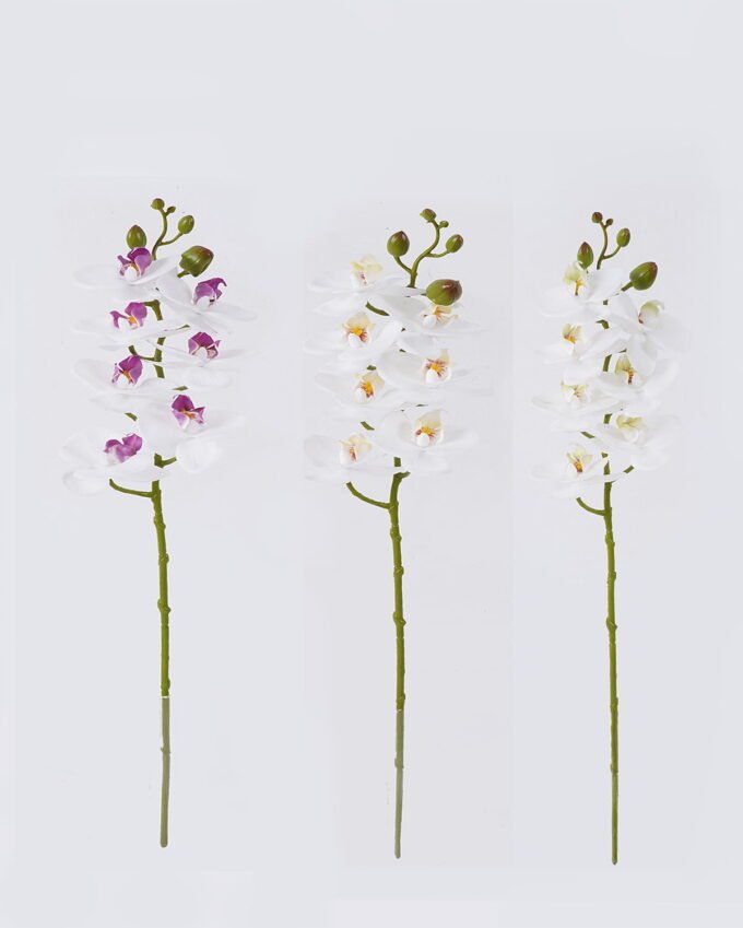 Artificial Flower Phalaenopsis 7 single stem real touch GS-68626003_1 Artificial Flower 12*6*55cm Phalaenopsis *7 single stem/real touch GS-68626003 2026Aug 3,000+ sqm showroom with thousands of artificial flowers, plants & trees ready for global sourcing.