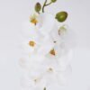Artificial Flower Phalaenopsis 7 single stem real touch GS-68626003_2 Artificial Flower 12*6*55cm Phalaenopsis *7 single stem/real touch GS-68626003 2026Aug 3,000+ sqm showroom with thousands of artificial flowers, plants & trees ready for global sourcing.