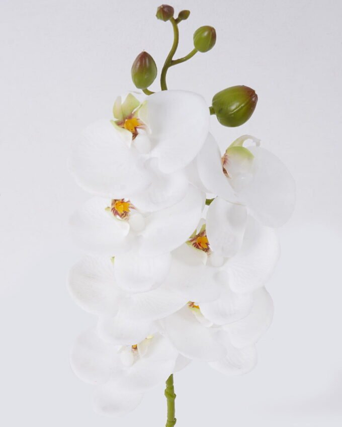 Artificial Flower Phalaenopsis 7 single stem real touch GS-68626003_2 Artificial Flower 12*6*55cm Phalaenopsis *7 single stem/real touch GS-68626003 2026Aug 3,000+ sqm showroom with thousands of artificial flowers, plants & trees ready for global sourcing.