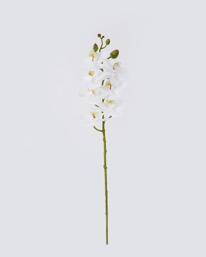 Artificial Flower Phalaenopsis 7 single stem real touch GS-68626003_3 Artificial Flower 12*6*55cm Phalaenopsis *7 single stem/real touch GS-68626003 2026Aug 3,000+ sqm showroom with thousands of artificial flowers, plants & trees ready for global sourcing.