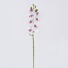 Artificial Flower Phalaenopsis 7 single stem real touch GS-68626003_4 Artificial Flower 12*6*55cm Phalaenopsis *7 single stem/real touch GS-68626003 2026Aug 3,000+ sqm showroom with thousands of artificial flowers, plants & trees ready for global sourcing.