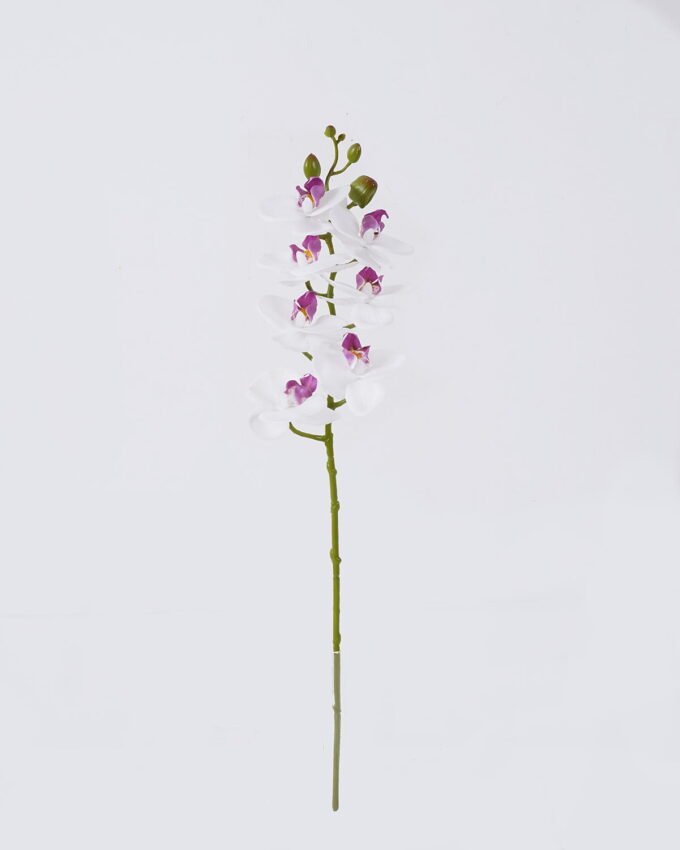 Artificial Flower Phalaenopsis 7 single stem real touch GS-68626003_4 Artificial Flower 12*6*55cm Phalaenopsis *7 single stem/real touch GS-68626003 2026Aug 3,000+ sqm showroom with thousands of artificial flowers, plants & trees ready for global sourcing.