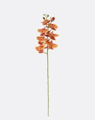 Artificial Flower 18*9*98cm Phalaenopsis *8 single stem/real touch GS-68622007AUT-O1 2026Aug 3,000+ sqm showroom with thousands of artificial flowers, plants & trees ready for global sourcing. Artificial Flower 18*9*98cm Phalaenopsis *8 single stem/real touch GS-68622007AUT-O1 2026Aug 3,000+ sqm showroom with thousands of artificial flowers, plants & trees ready for global sourcing.
