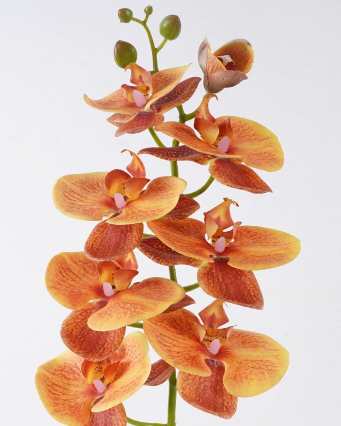 Artificial Flower 18*9*98cm Phalaenopsis *8 single stem/real touch GS-68622007AUT-O1 2026Aug 3,000+ sqm showroom with thousands of artificial flowers, plants & trees ready for global sourcing.
