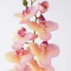 Artificial Flower Phalaenopsis 8 single stem real touch GS-68622007AUT-P1_1 Artificial Flower 18*9*98cm Phalaenopsis *8 single stem/real touch GS-68622007AUT-P1 2026Aug 3,000+ sqm showroom with thousands of artificial flowers, plants & trees ready for global sourcing.